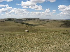 The Daurian forest steppe