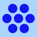 a blue rasberry icon used as an avatar