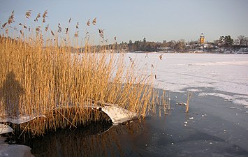 På vintern 2006 från Hagaparken.