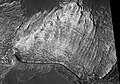 HiRISE 拍攝的厄俄斯混沌內淺色地層，位於欧克西亚沼区。