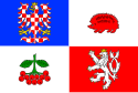 Region de Vysočina - Bandera