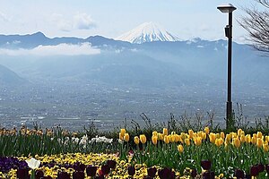 園內看到的山梨盆地及富士山
