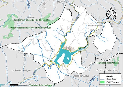 Carte de la ZNIEFF de type 1 sur la commune.