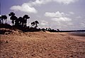 Image 1Gunjur is a small coastal town in south-western Gambia.