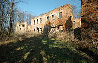Ruiny pałacu w Głębowicach