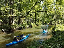 =Paddler im Hochwald des Spreewalds in Burg