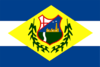 Flag of Ribeirão