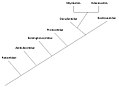 Image 8A phylogenetic tree showing the relationships among cetacean families. (from Evolution of cetaceans)