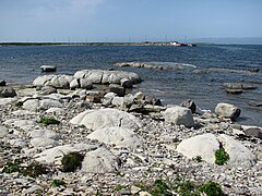 Thrombolites