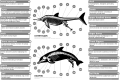 Image 36Dolphins (aquatic mammals) and ichthyosaurs (extinct marine reptiles) share a number of unique adaptations for fully aquatic lifestyle and are frequently used as extreme examples of convergent evolution (from Evolution of cetaceans)