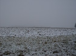 Snow-covered corn fields in Forest Township