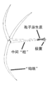 2008年1月29日 (二) 10:37版本的缩略图