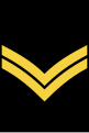 Sailor First Class (previously Leading Seaman) or matelot de première classe