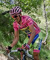 Alberto Contador ajaa roosapaidassa vuoden 2015 Girossa.