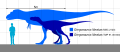 Сравнение размеров человека и горгозавра (взрослая и подростковая особи)