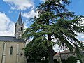 Église Saint-Vincent de Sansais