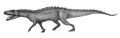 Nundasushus, um possível arcossauro.
