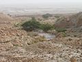 Wadi bei Masada