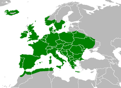 Mapa de distribución de Apodemus sylvaticus (en verde)