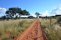 Farmpad auf Farm Makam in Namibia (2017)