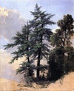 1849 Naturaren zirriborroa, Zuhaitzak, Newburgh, New York