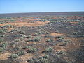 Thumbnail for Nullarbor Plain