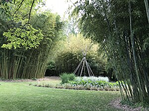 Parc aux Bambous.