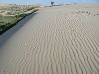 Parque de dunas de arena de Nitzanim, Ashdod