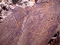 Image 9Prehistoric Rock Art Sites in the Côa Valley (from History of Portugal)