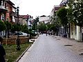 Radoviş