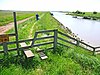 Hen Reedbeds