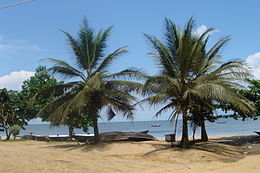 Kribi – Veduta