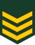 Sergeant