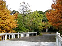 紅葉の西園寺記念館庭園 後方に見えるのは鹿苑寺（金閣寺）庭園の森