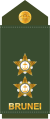 Leftenan (Royal Brunei Land Force)[17]