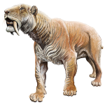 Smilodon fatalis