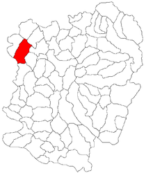 Location in Caraș-Severin County