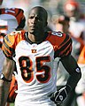 Chad Johnson