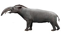 Granastrapotherium