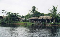 The Orinoco River delta