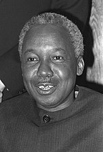 Iulius Nyerere: imago