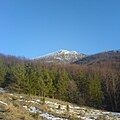 Strážov Mountains Protected Landscape Area