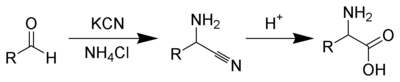 ストレッカーアミノ酸の合成