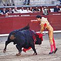 Tercio de muleta: il matador infilza la sua spada nel toro.