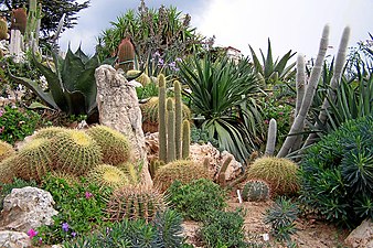 Jardin exotique d'Èze.