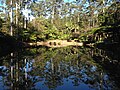 坦伯林山植物園