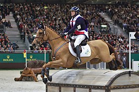 Pégase du Tuc, jument Anglo-arabe née en 2003, montée par Karim Florent Laghouag lors du Concours hippique international de Genève en 2014.