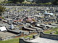 View of Anderson's Bay Cemetery