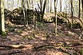 Felsen und Reste der Ringmauer der einstigen „Alten Veste“ (Burgstall) im Ostteil der sich westlich vom Ailsbachtal erhebenden Bauernleite