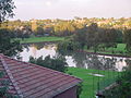 Cooks River at Hurlstone Park